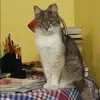 Отзыв от Полина Константинова